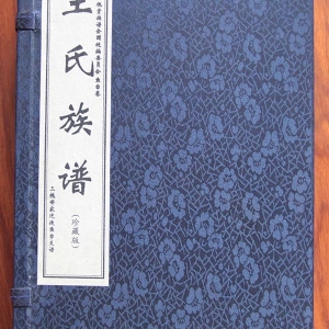 王氏族譜 魚(yú)臺(tái)
